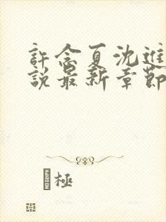 许念夏沈进舟小说最新章节更新内容