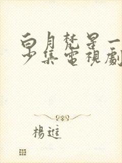 白月梵星一共多少集电视剧