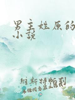 男主姓原的现代小说