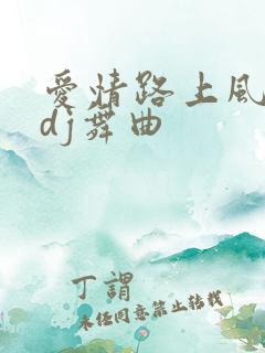 爱情路上风雨多dj舞曲