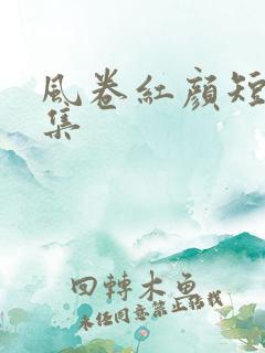 风卷红颜短剧全集