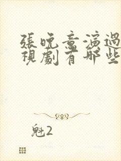 张晚意演过的电视剧有哪些