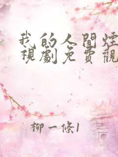 我的人间烟火电视剧免费观看41集