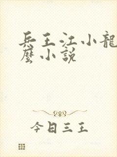 兵王江小龙叫什么小说