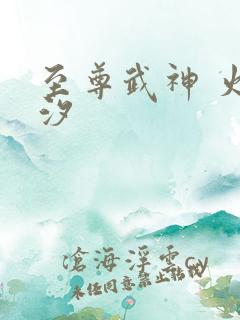 至尊武神 火龙汐