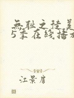 无耻之徒美版第5季在线播放