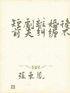 短剧离婚后总裁前夫纠缠不休