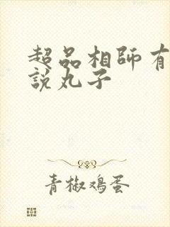 超品相师有声小说丸子