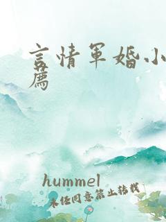 言情军婚小说推荐