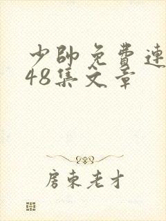 少帅免费连续剧48集文章