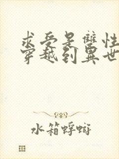 求受是双性人,穿越到异世的小说