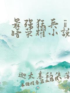 最强狂兵ⅱ:黑暗荣耀小说