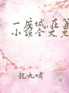 一座城,在等你小说全文免费阅读