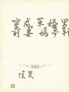穿成军婚男主的前妻 嫣梦轩