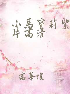 小马宝莉紫悦图片高清