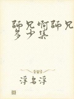 师兄啊师兄总共多少集