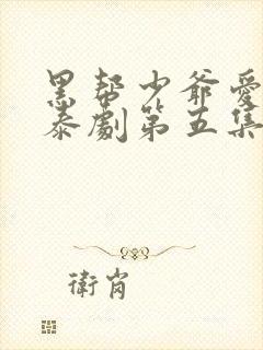 黑帮少爷爱上我泰剧第五集