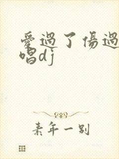 爱过了伤过了原唱dj
