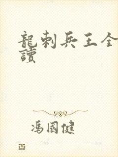 龙刺兵王全文阅读