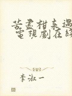 苦尽柑来遇见你 电视剧在线观看