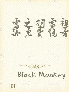 云之羽电视剧全集免费观看完整版