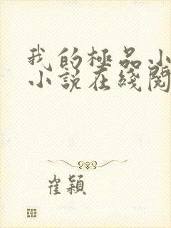 我的极品小姨 小说在线阅读