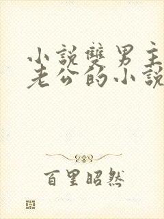 小说双男主虐文老公的小说推荐完结