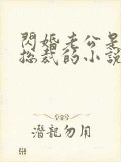 闪婚老公是公司总裁的小说