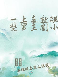 一上来就飙车的双男主剧小说