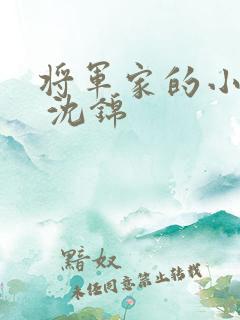 将军家的小娘子 沈锦