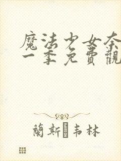 魔法少女奈叶第一季免费观看完整版