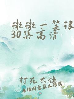 微微一笑很倾城30集高清