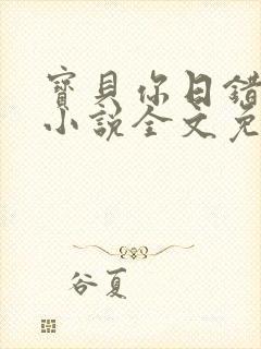 宝贝你日错人了小说全文免费阅读