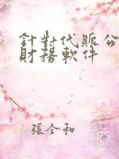 针对代账公司的财务软件