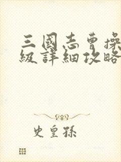 三国志曹操传压级详细攻略