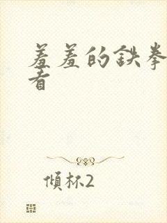 羞羞的铁拳免费看