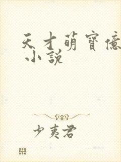 天才萌宝亿万妻 小说