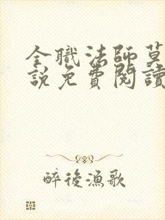 全职法师莫凡小说免费阅读