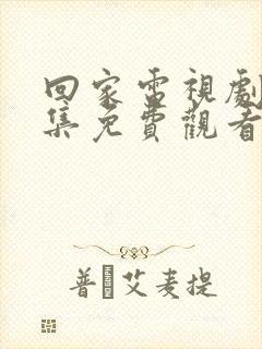 回家电视剧40集免费观看