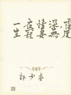 一夜情深,霍先生宠妻无度小说在线观看