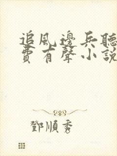 追风边兵听书免费有声小说