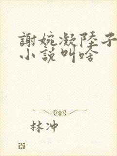 谢婉凝陆子宴的小说叫啥