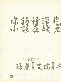 你的情深我不配小说在线免费阅读