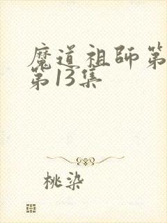 魔道祖师第三季第13集