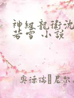 神级龙卫沈浪苏若雪 小说