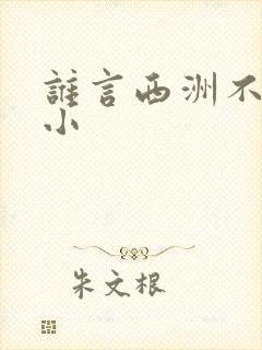 谁言西洲不知意小