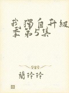 我独自升级第二季第5集