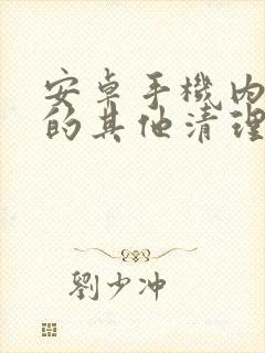 安卓手机内存里的其他清理