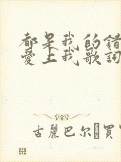 都是我的错让你爱上我歌词完整版