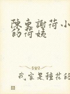 陈东谢荷小说我的荷姨